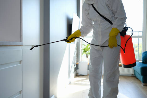 Best Certified Mold Removal  in Northwest Harwich, MA