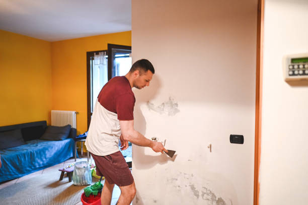 Mold Removal Process in Northwest Harwich, MA